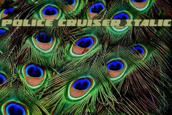 Police Cruiser Italic Example 2