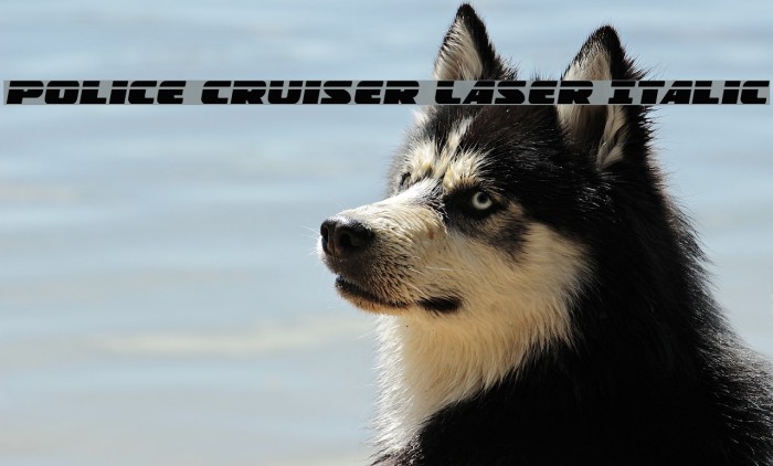 Police Cruiser Laser Italic Example 1