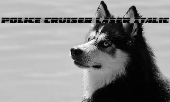 Police Cruiser Laser Italic Font examples