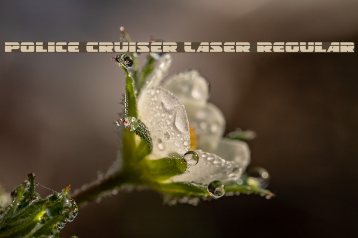 Police Cruiser Laser Regular Font examples