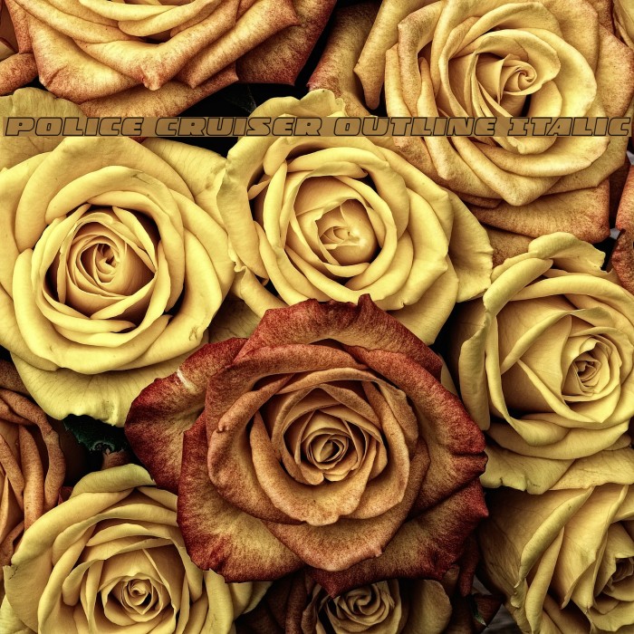 Police Cruiser Outline Italic Example 2