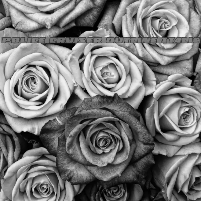 Police Cruiser Outline Italic Font examples