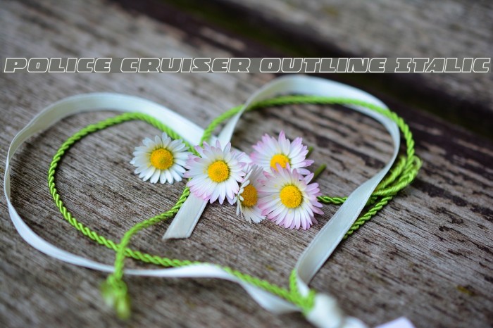 Police Cruiser Outline Italic Example 3