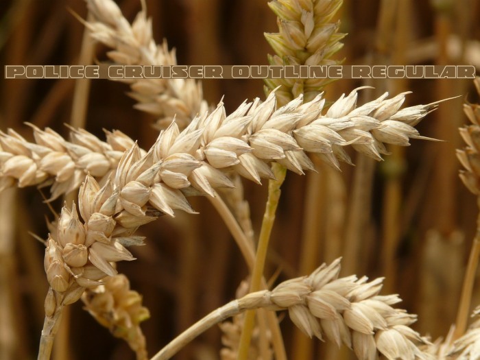 Police Cruiser Outline Regular Example 3