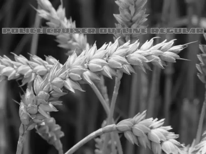 Police Cruiser Outline Regular Font examples