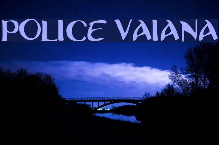Police Vaiana Example 1