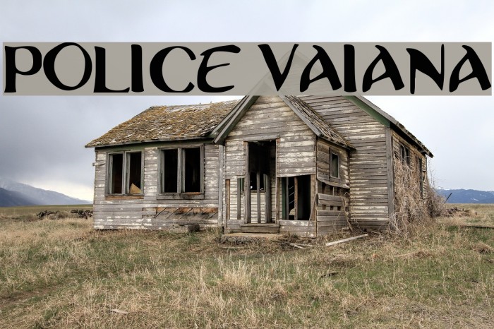 Police Vaiana Example 2