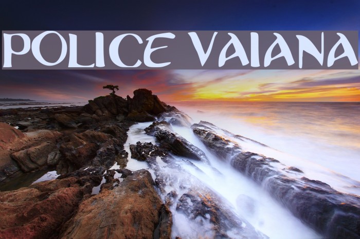 Police Vaiana Example 3
