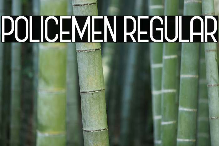 Policemen Regular Font examples