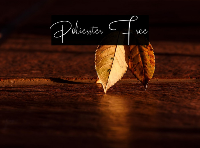 Poliesster Free Example 1