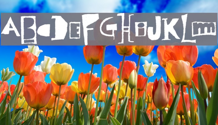 Polish Posterisation Example 2