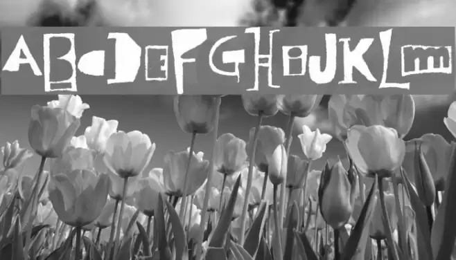 Polish Posterisation Font examples