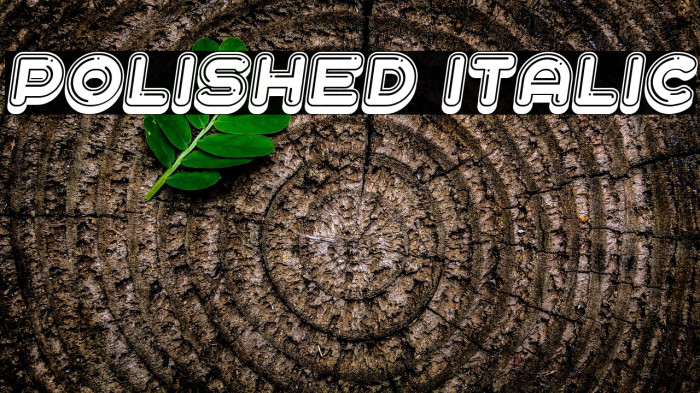 Polished Italic Example 2