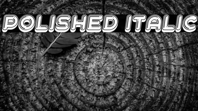 Polished Italic Font examples