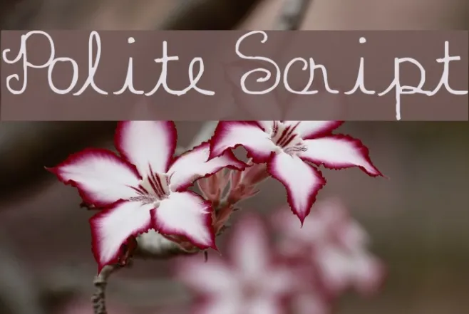 Polite Script Example 2