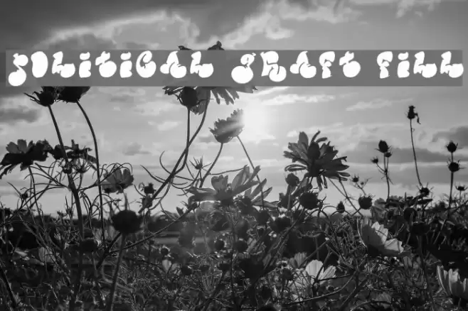 Political Graft Fill Font examples