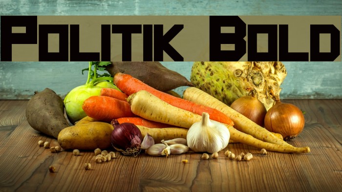 Politik Bold Font examples