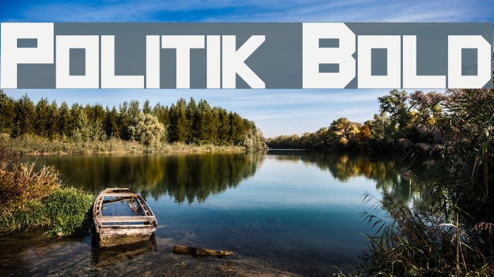 Politik Bold Font examples
