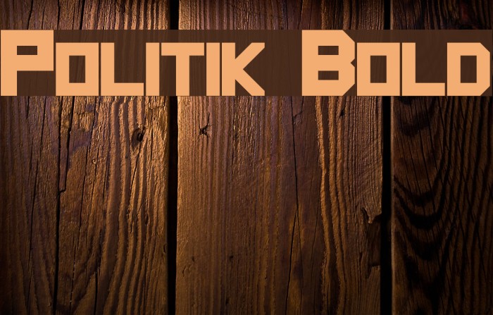 Politik Bold Font examples