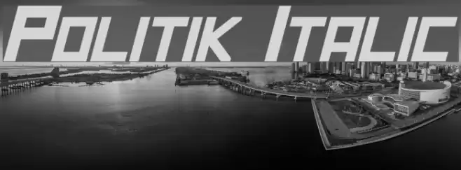 Politik Italic Font examples