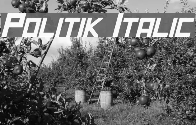 Politik Italic Font examples