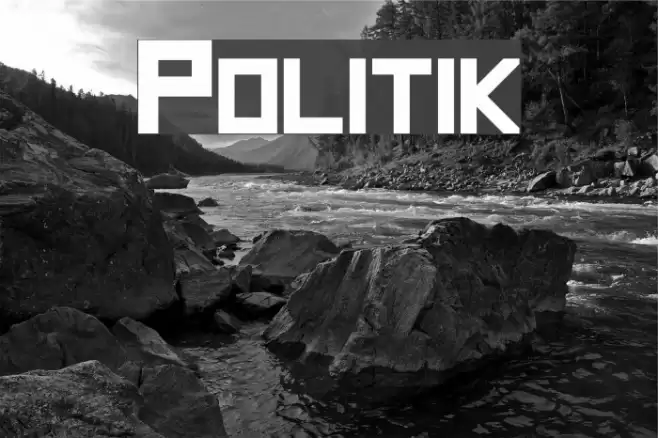 Politik Font examples