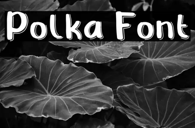 Polka Font examples