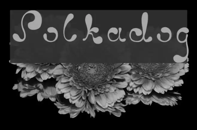 Polkadog Font examples