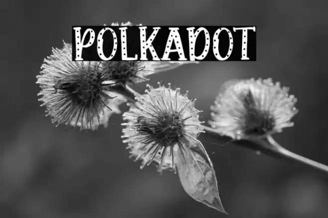 Polkadot Font examples