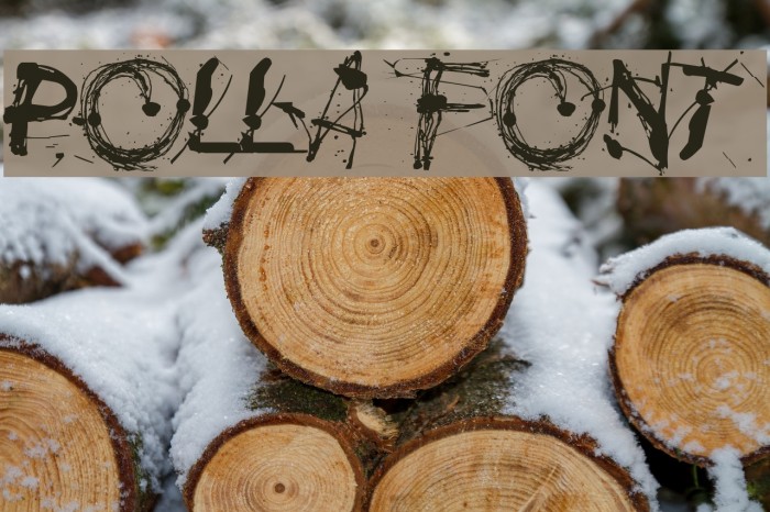 Polla Font examples