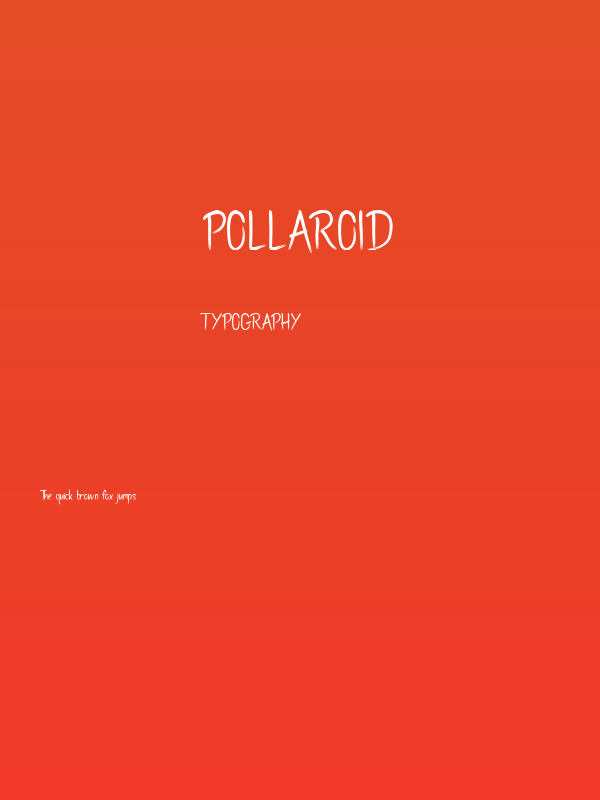 Pollaroid Poster