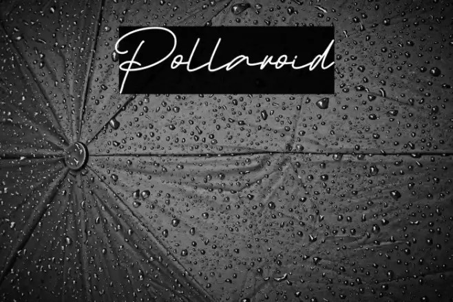 Pollaroid Font examples