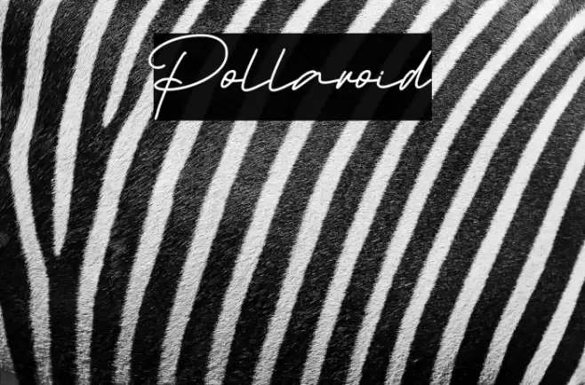 Pollaroid Font examples