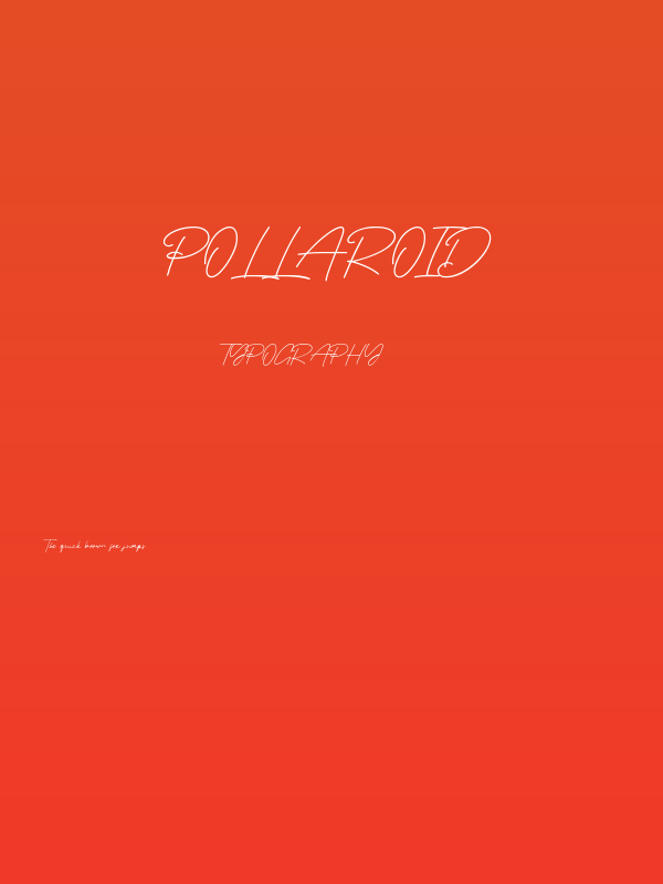 Pollaroid Poster