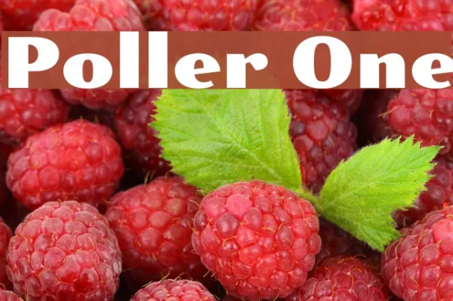 Poller One Example 2