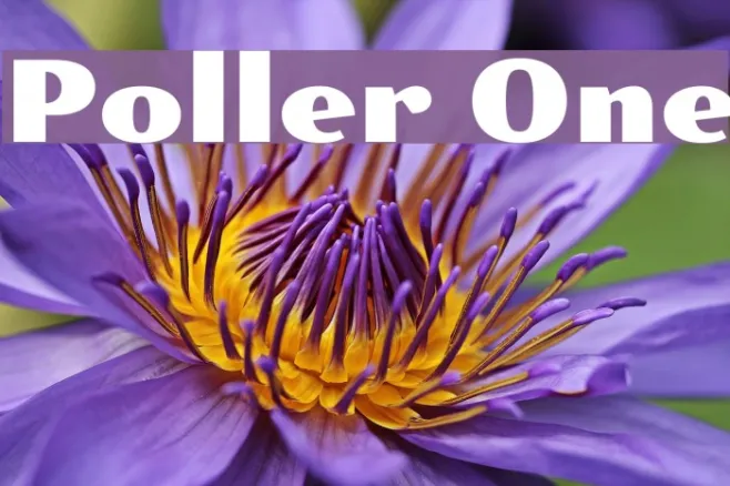 Poller One Example 3