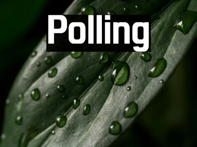 Polling Example 3