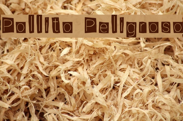 Pollito Peligroso Font examples