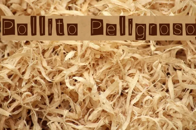 Pollito Peligroso Example 1