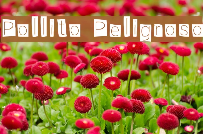 Pollito Peligroso Font examples