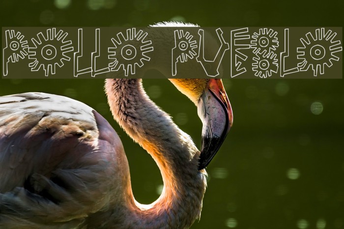 Pollo Pueblo Example 1