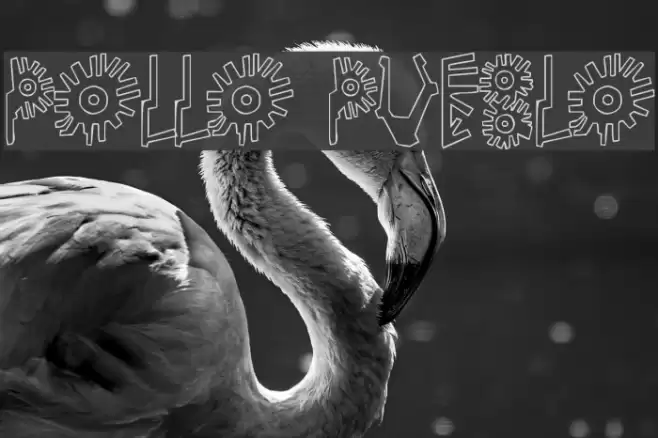 Pollo Pueblo Font examples