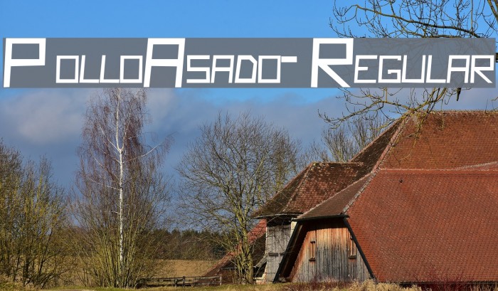 PolloAsado-Regular Font examples