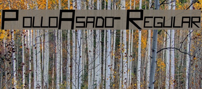 PolloAsado-Regular Font examples