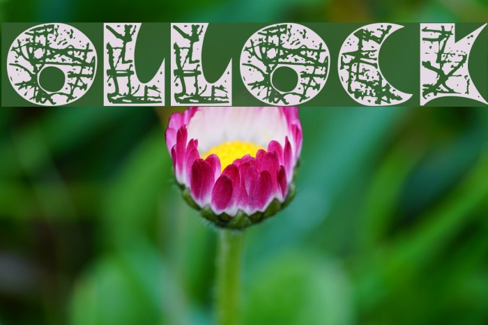 PollockMF Font examples