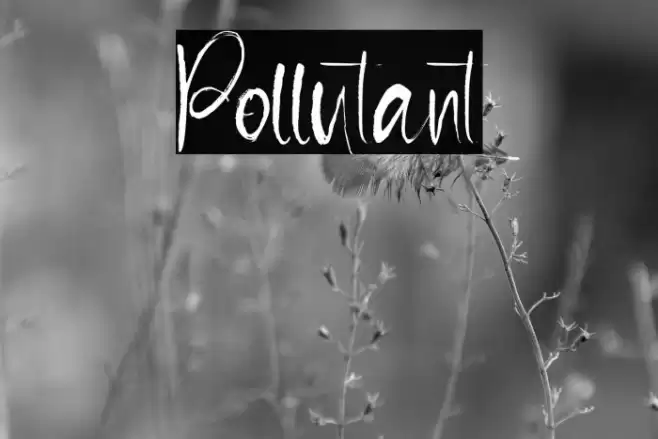Pollutant Font examples