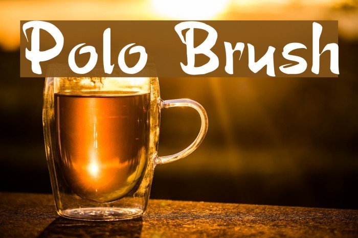 Polo Brush Font examples