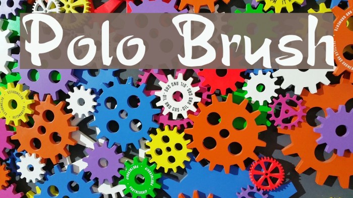 Polo Brush Font examples