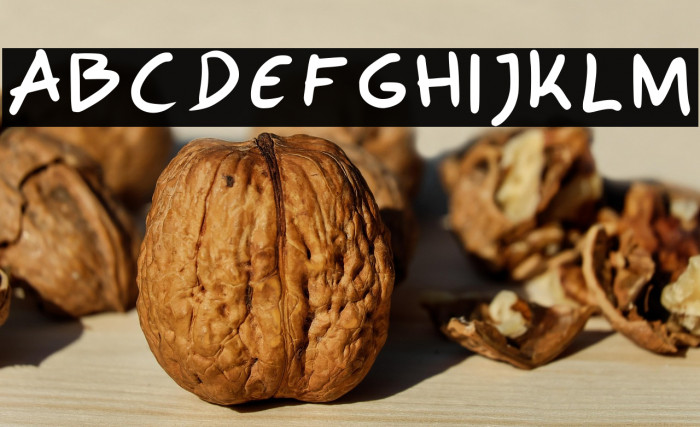 Polo Regular Example 1