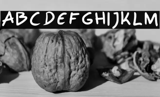 Polo Regular Font examples